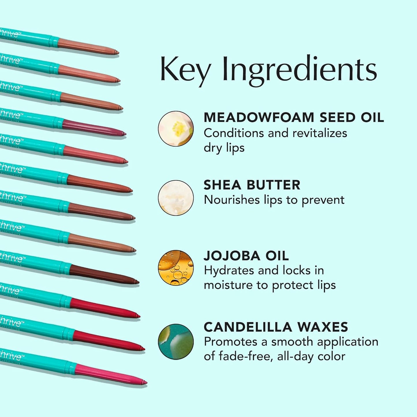 Thrive Causemetics Lip Filler Long-Wearing + Plumping Lip Liner, Shea Butter Hydrating Lip Plumper Retractable Lip Liner Pencil, Built In Sharpener, Vegan & Cruelty Free, Erika (Terracotta)