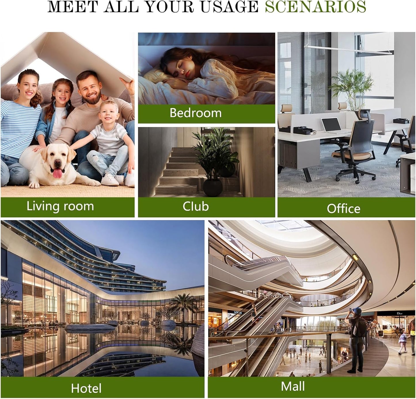 Hotel Waterless Diffuser Oil Winter Pine, Essential Scent Oil Usage Cold Air Waterless Diffuser, Luxury Scents Oils Fragrance Bottle120 ML Home Natural Flavour