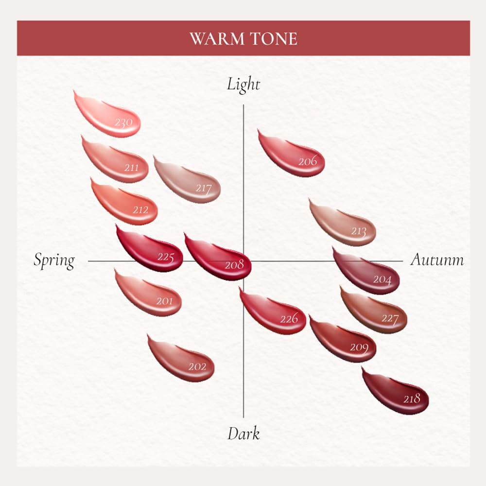 DINTO Blur-Glowy Lip Tint 209 Fides