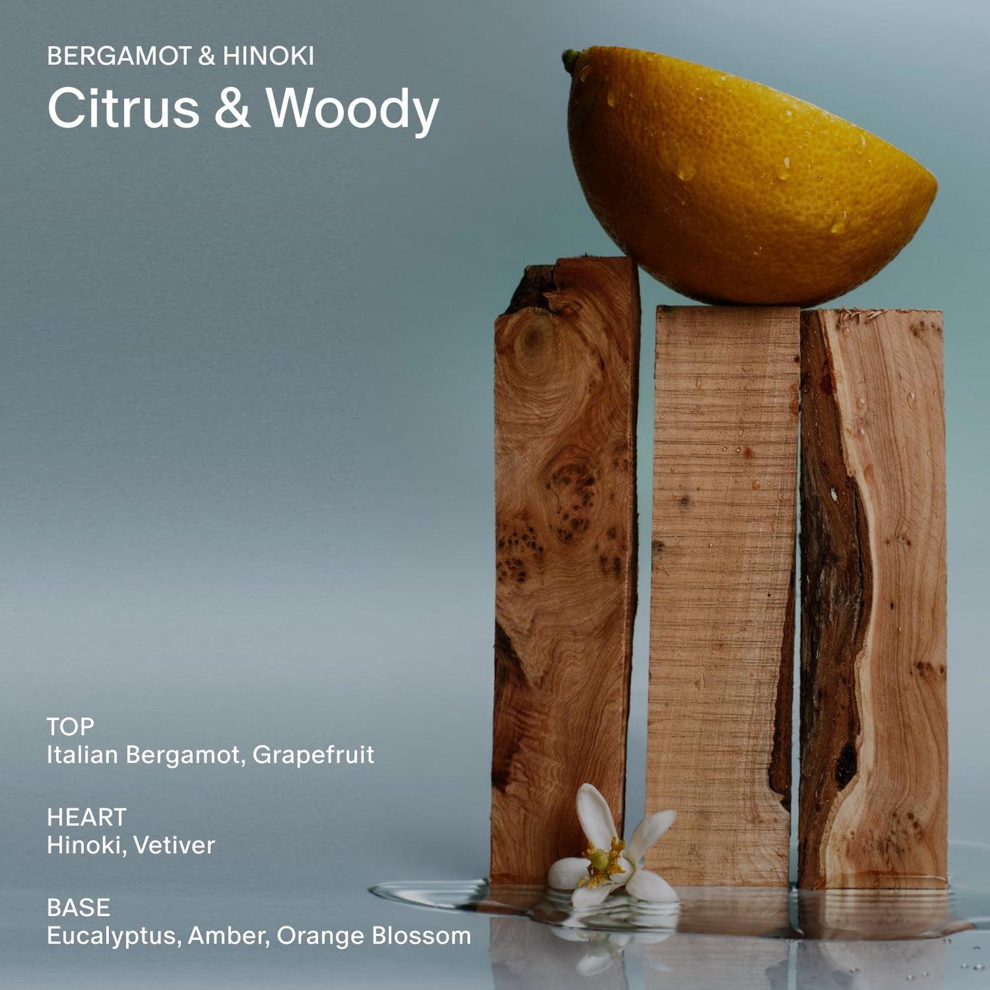 Salt & Stone Body Wash with Antioxidants for Deep Moisture | For Women & Men, Sulfate, Paraben, & Dye Free, Leaving Skin Soft and Hydrated | Bergamot & Hinoki 32 fl oz