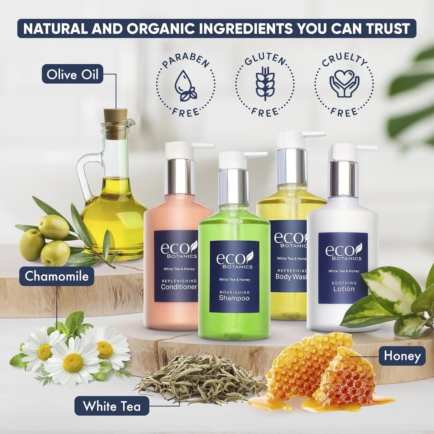 A 40 Piece Ecobox All-In-Kit of our Ecobotanics 10.14 oz. 300 ml Bottles-12 Shampoo, 8 Conditioners, 12 Body Wash & 8 Lotions